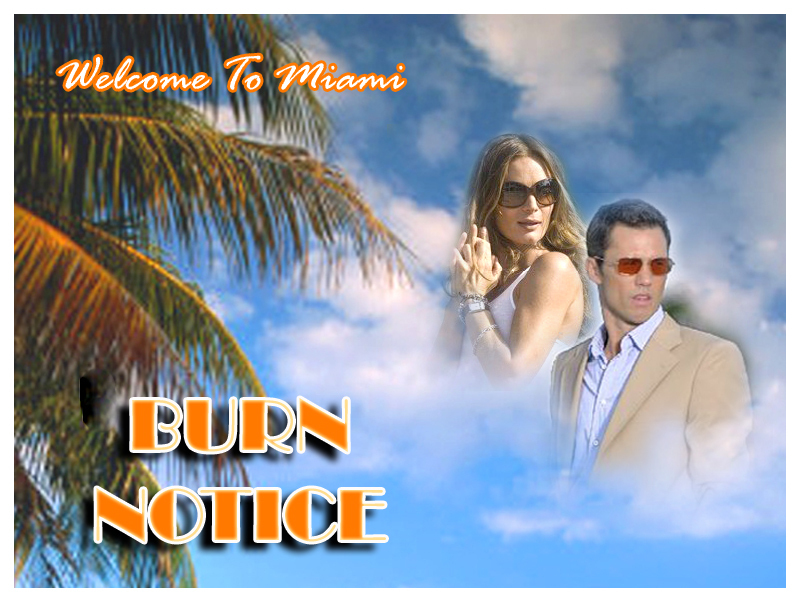 Burn Notice Duro a morire CB01 SERIE TV