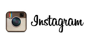 Seguimi su Instagram