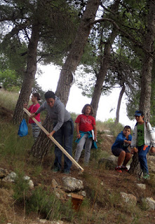 sensibilización ambiental