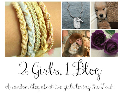  Two Girls, One Blog.
