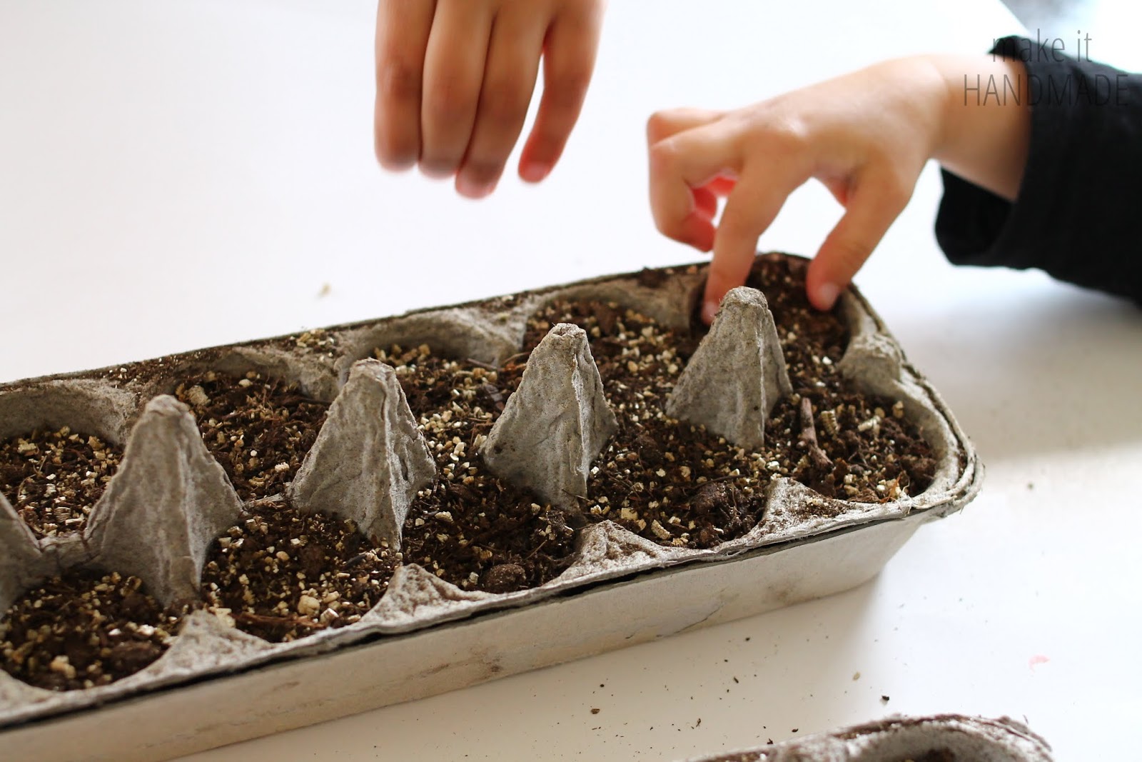 Make It Handmade Starting Seeds in Egg Cartons