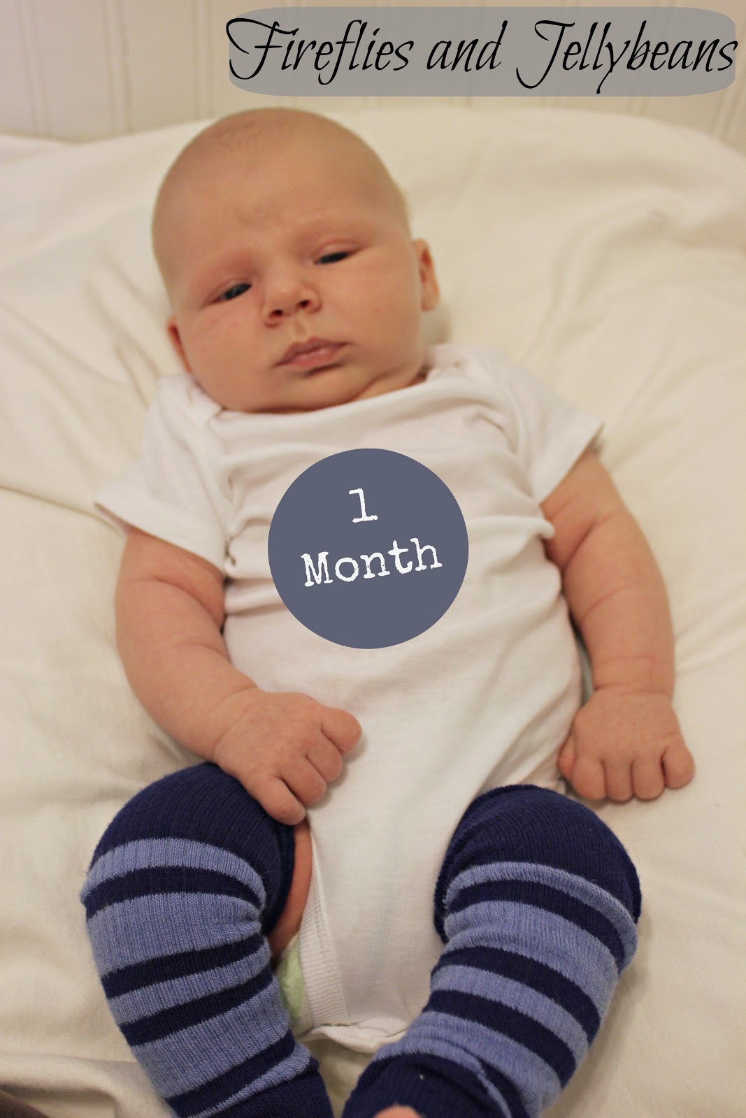 Month Old Baby Food Recipes Month Old Baby Food Recipes