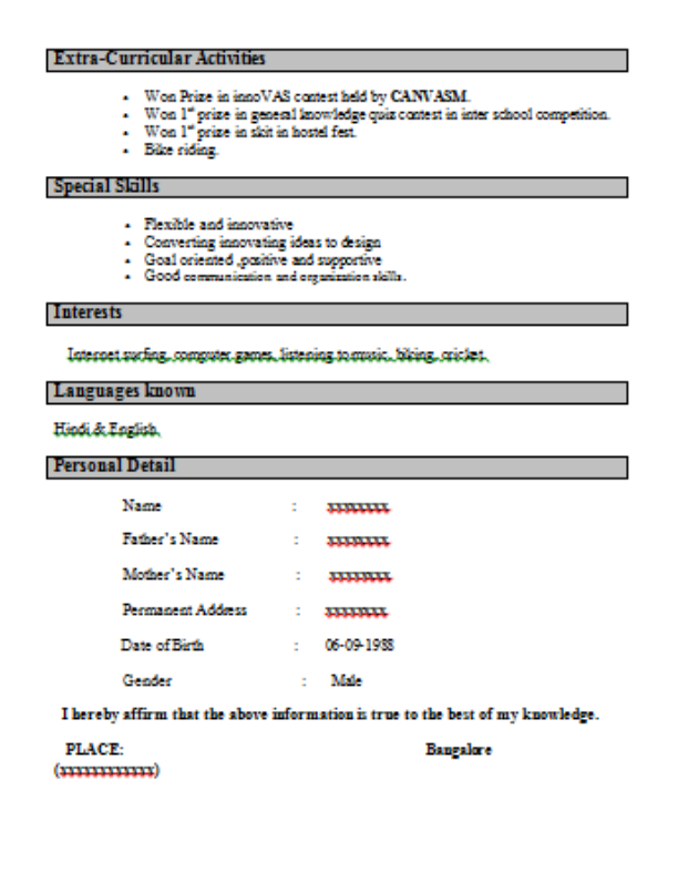 resume for interview pdf