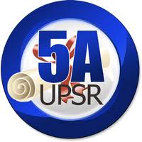 Peperiksaan Percubaan UPSR 2013 Negeri Johor (Trial UPSR 2013