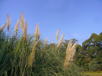 大阪府交野市・大阪市立大学 理学部付属 植物園