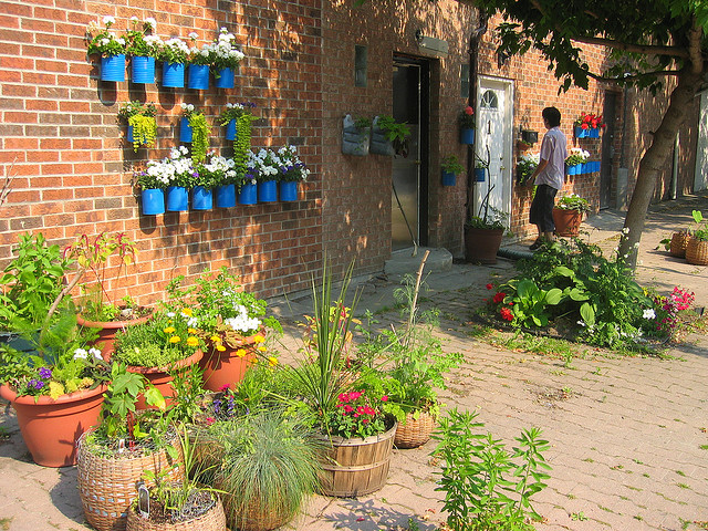 Jardim vertical feito com latas de molho de tomate
