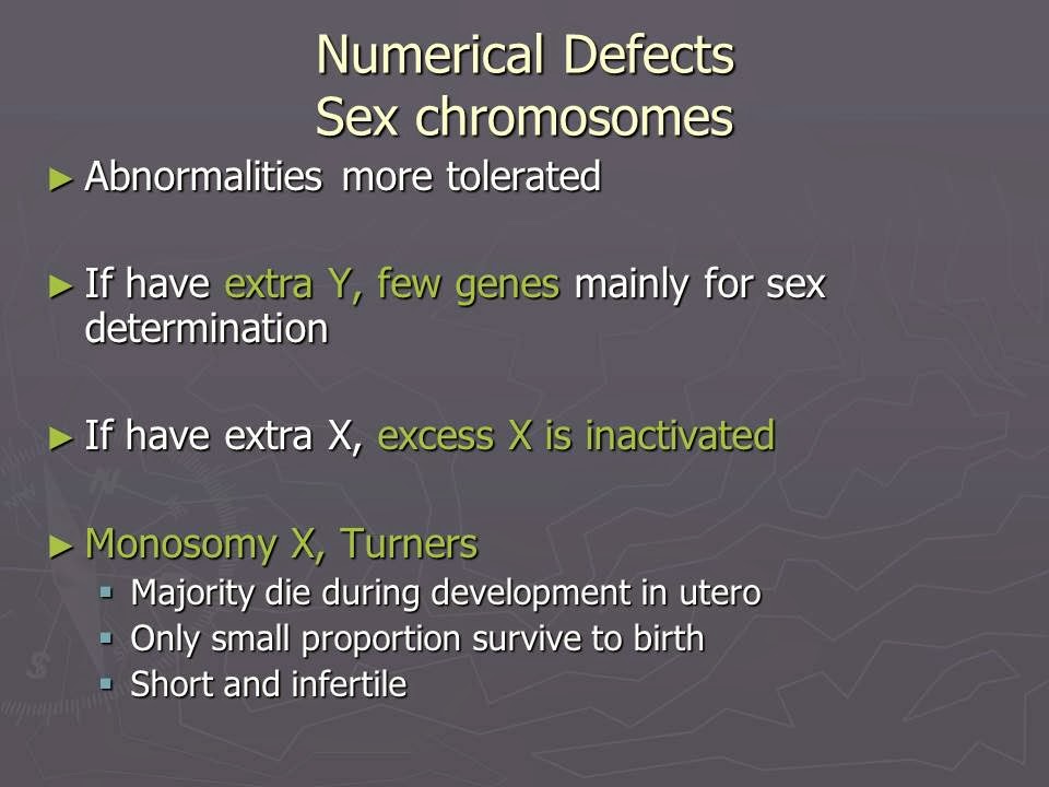 Slide 19