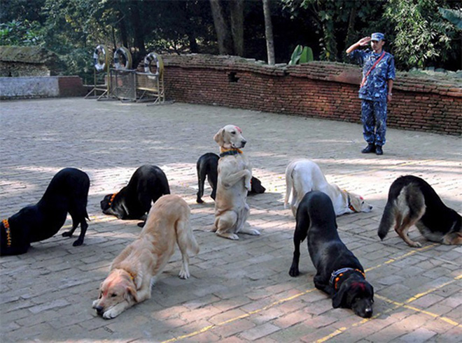 30 Fotos WTF que desafían toda explicación 30 Fotos WTF que desafían toda explicación