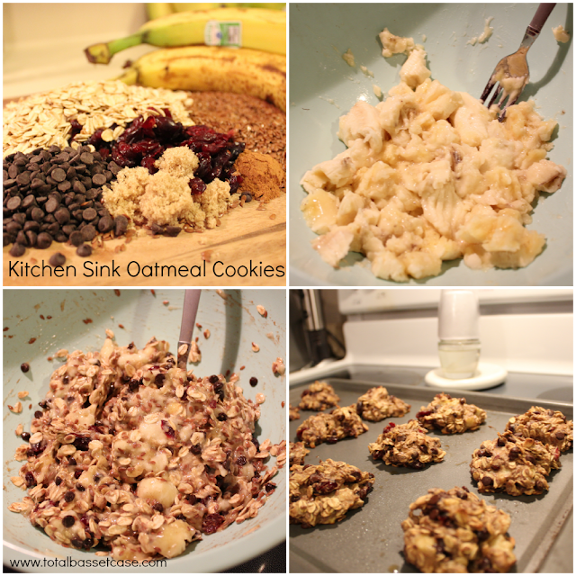 Total Basset Case SPD Recipe Kitchen Sink Oatmeal Cookies