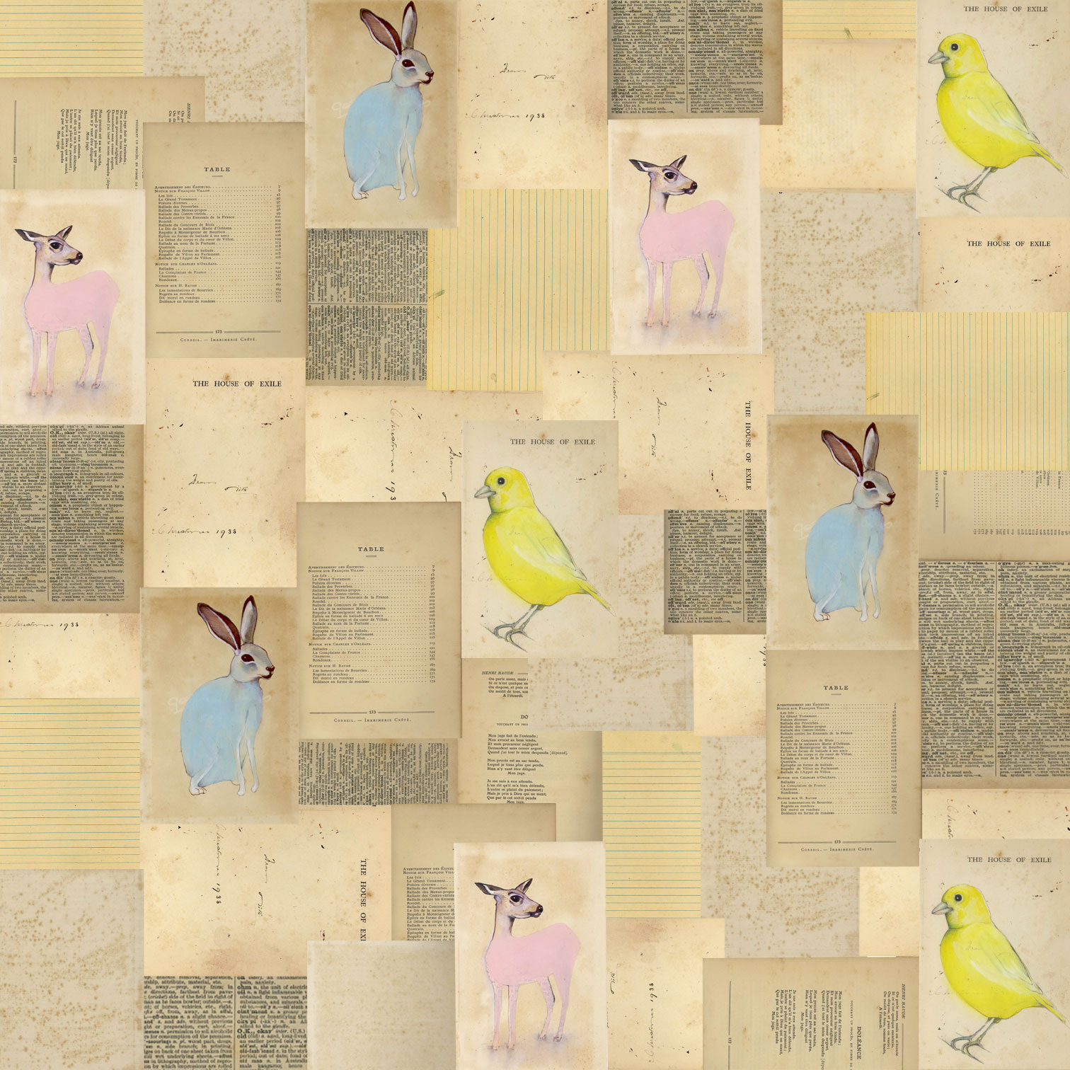http://2.bp.blogspot.com/-wG7TSWdMdXk/Tozjdm6Kn2I/AAAAAAAAAYQ/p5rfxB8FIkE/s1600/animal-wallpaper.jpg