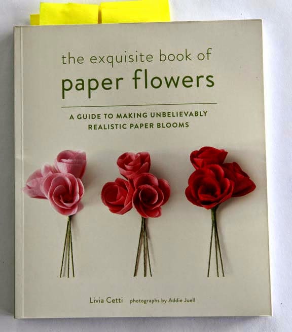 getting stitched on the farm peonies yes the exquisite books on paper flower making