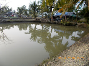 "Fish Pond":- Almost every village house in Pakharala Village has a fish pond.