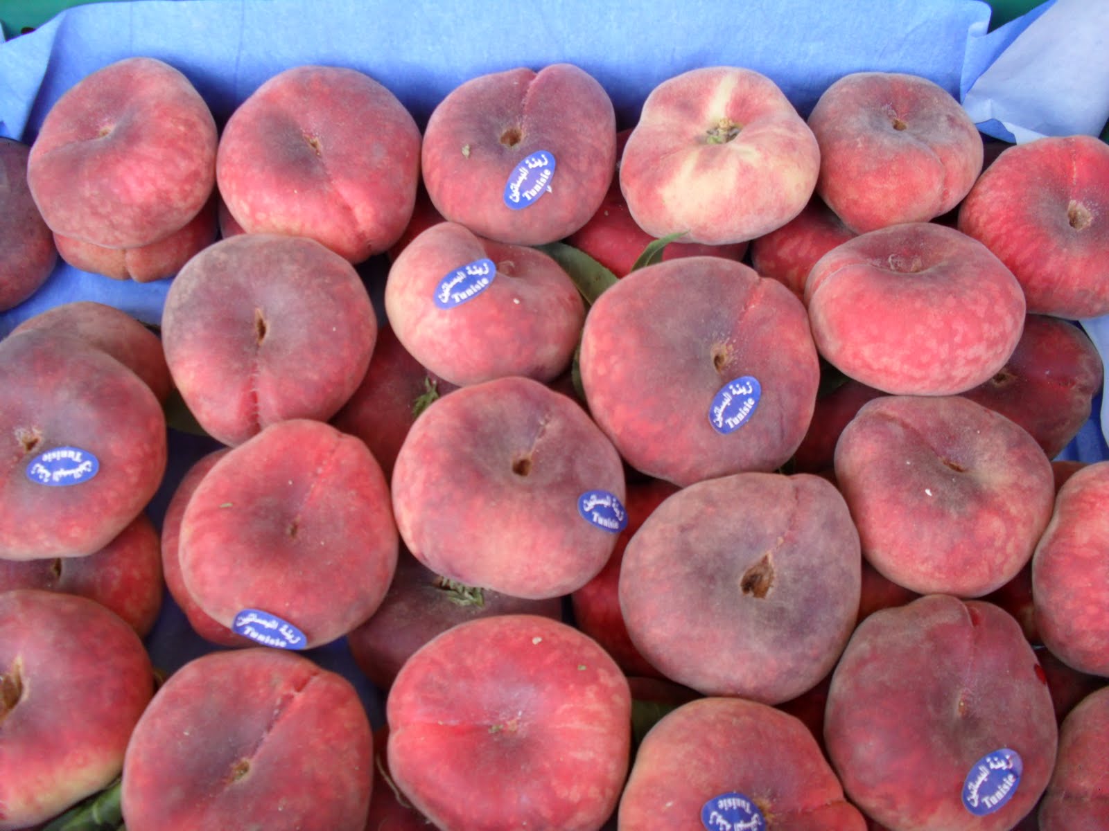 brightly coloured sunflowers Peaches (Prunus persica)