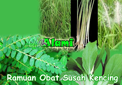 Ramuan Obat Herbal (Bahan Alami) Untuk Mengobati Penyakit Susah Kencing Ramuan Obat Penyakit Susah Kencing