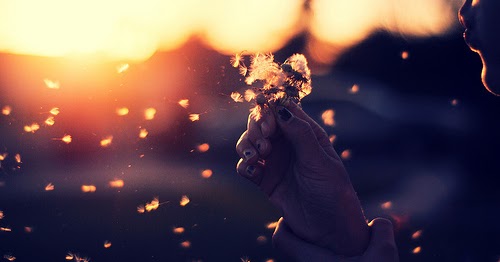 That Message In My Sunset Breeze.