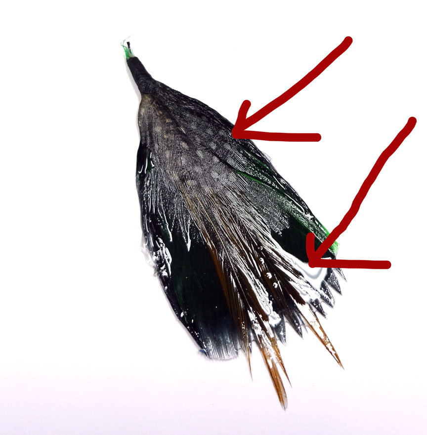 Resin Crafts How To Glaze a Feather With Jewelry Resin Part Two!