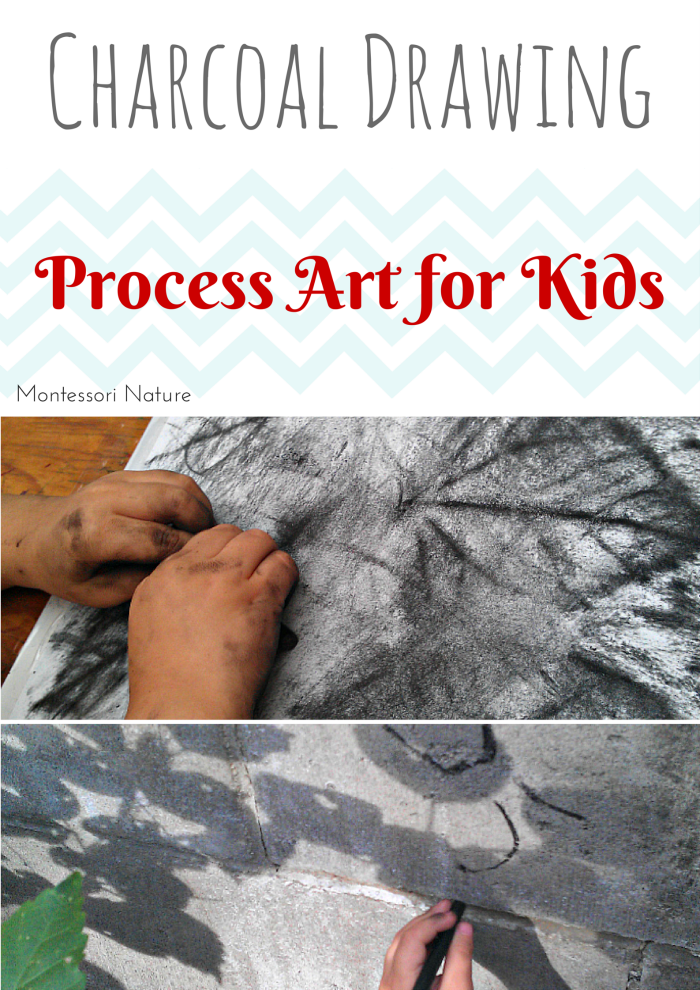 CHARCOAL DRAWING PROCESS ART FOR KIDS Day 6 Montessori Nature