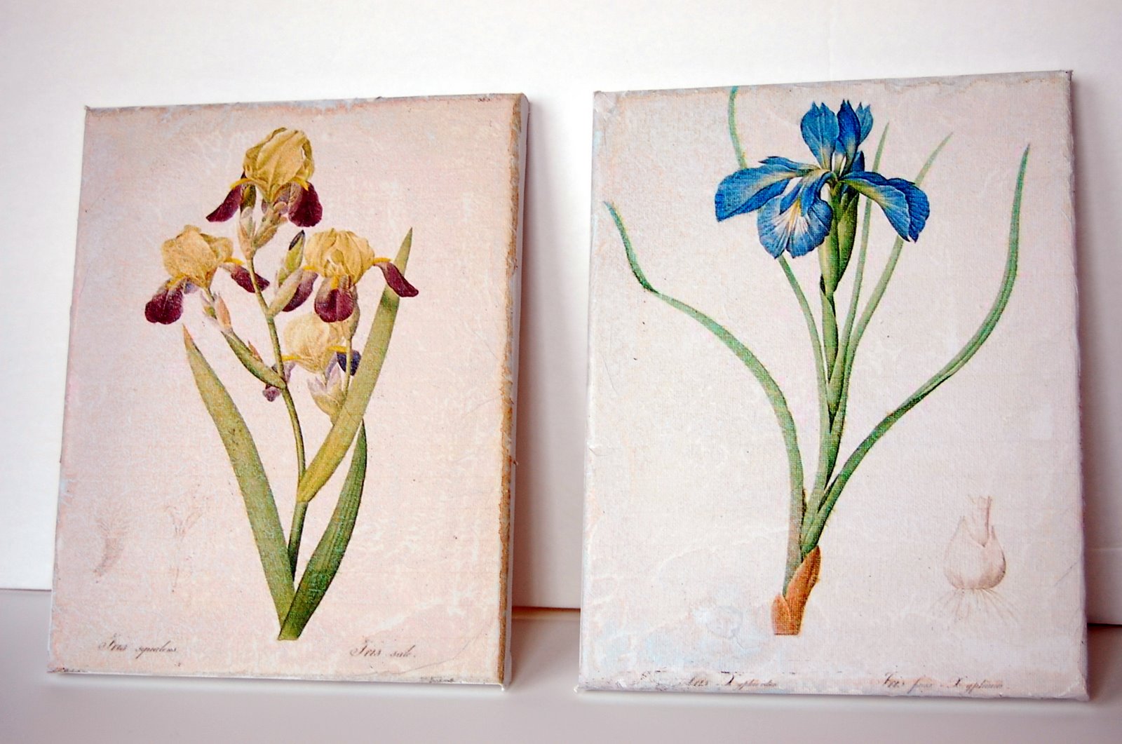 Beth Being Crafty: Canvas Wall Art!