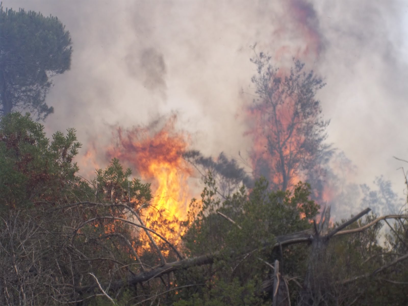 chichou site de rencontre