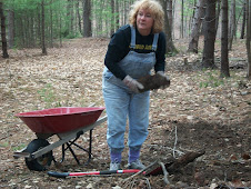 Collecting Rocks