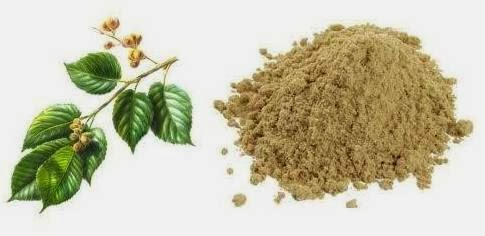 Slippery Elm Bark Side Effects In Dogs Slippery Elm Bark Side Effects In Dogs