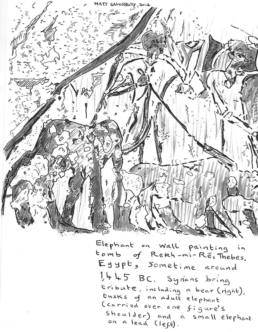 Pygmy Elephants The Book Ege University S Syrian Elephant