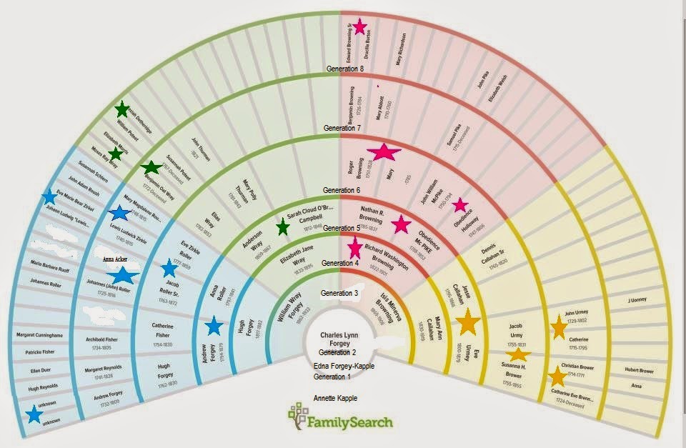Finding Your Roots Family Tree Charts