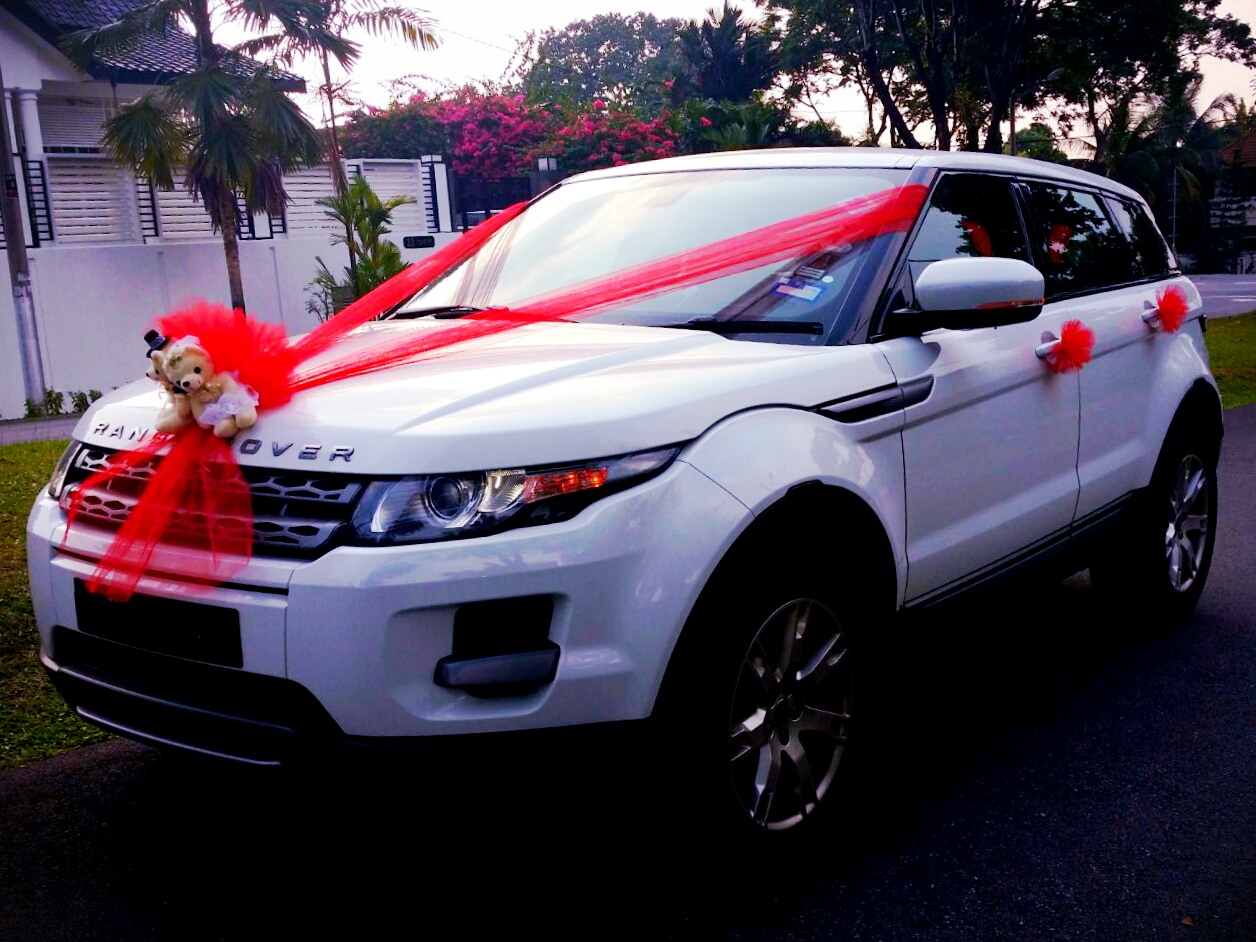 Big Ribbon For New Car Big Ribbon For New Car
