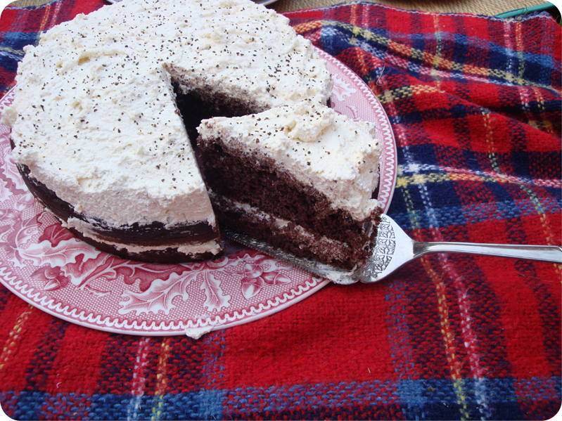 Alissa Evelyn black bean chocolate cake recipe