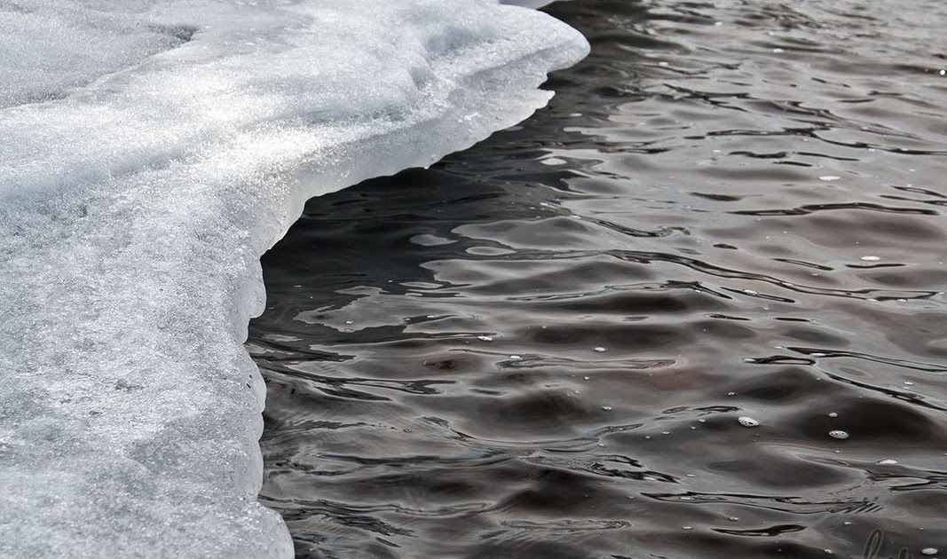 Fernando Matias Photography Ottawa Ontario Ottawa Wedding