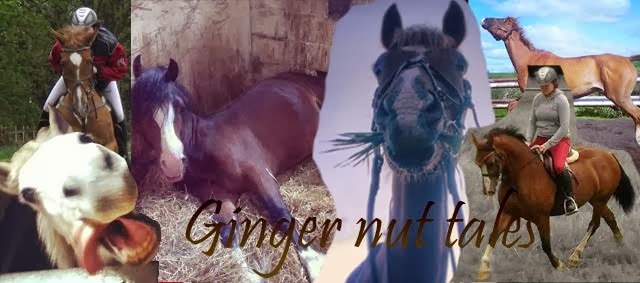 Ginger nut tales