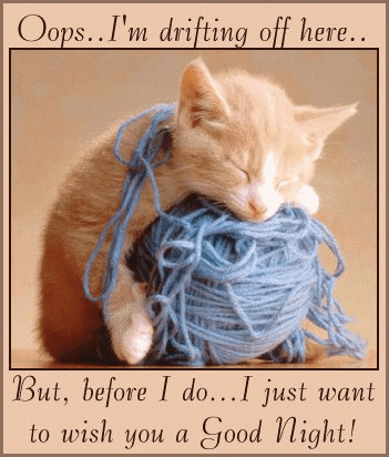 Cute and Best Loved Wallpapers and SmS: Good Night Wish ...