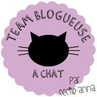 Team Blogueuse à chat