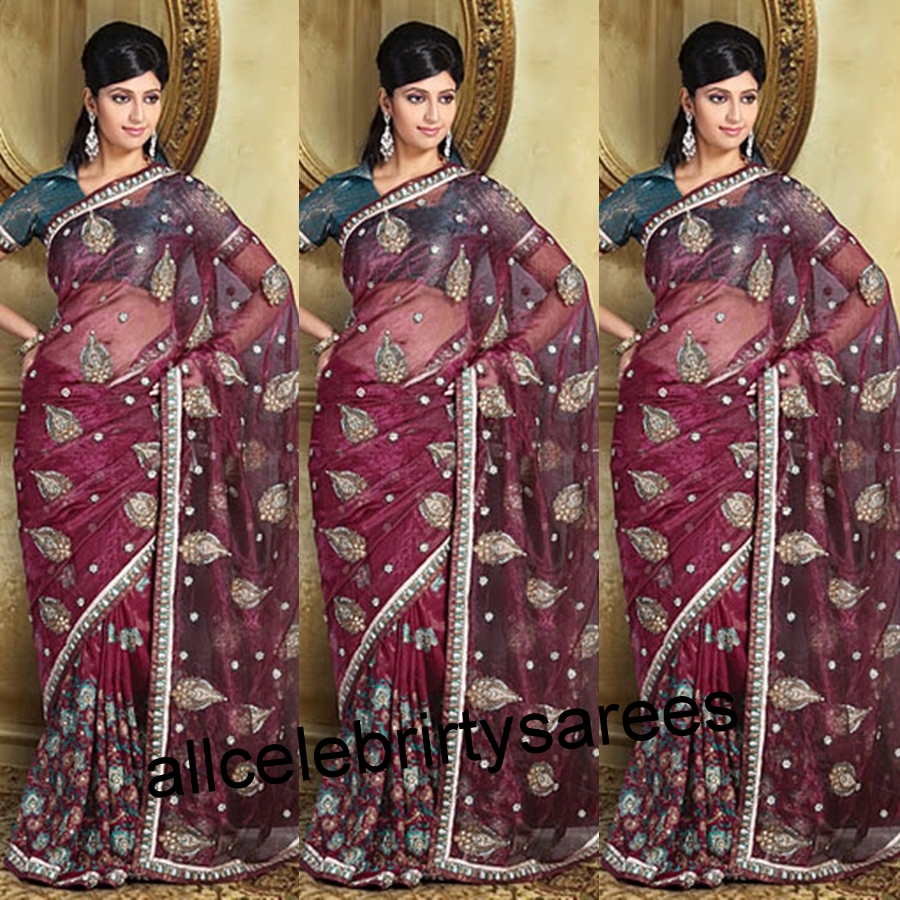 All Celebrities Sarees Designs Celebrity in pink color glass tissue