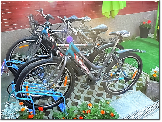 Wypożyczalnia rowerów Gdańsk