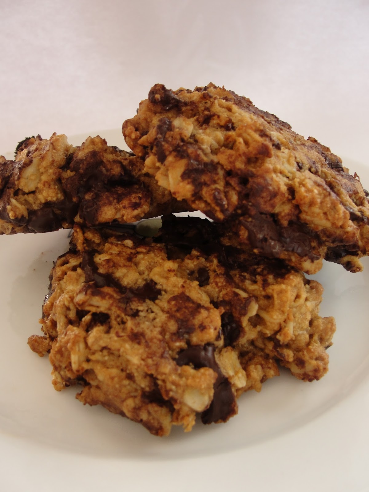 Big Life, Little Garden Whole Wheat Honey Chocolate Chip Cookies