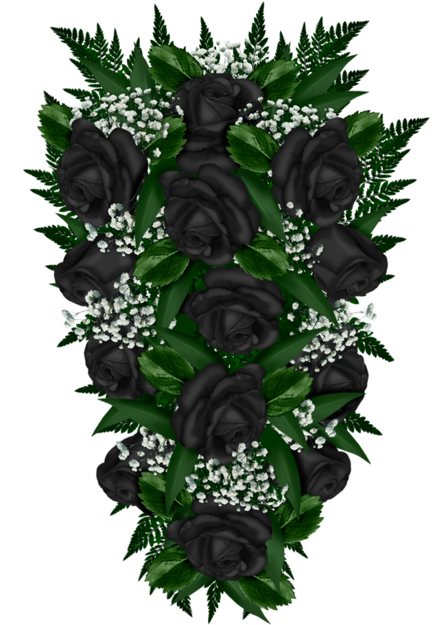 black roses