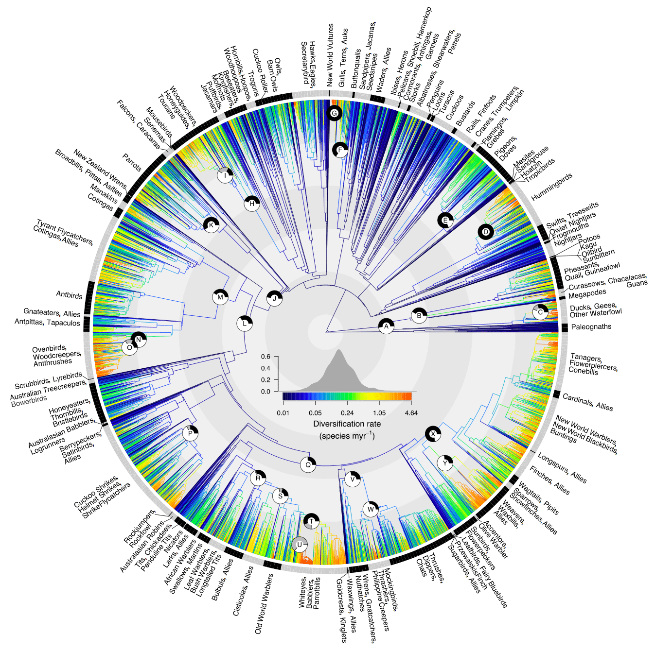 types of family trees tirevi fontanacountryinn com blue family tree