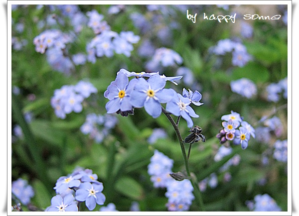 Happy Sonne Bloggertreffen In Der Ostschweiz