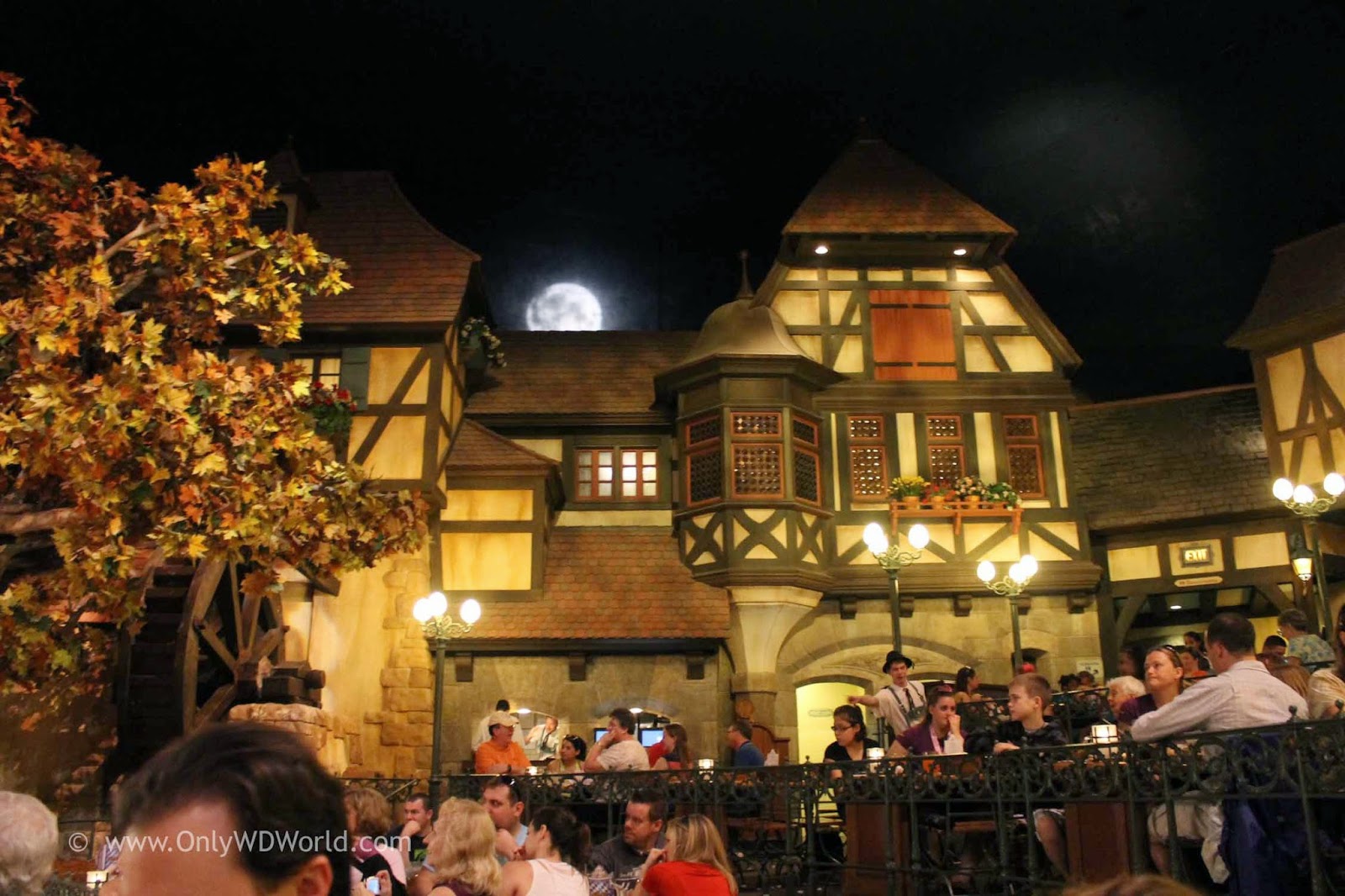 Disney World Top 6 Restaurants In Epcot | Disney World Blog Discussing