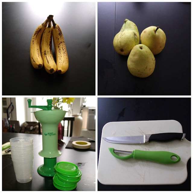 The Crunchy Mama Blog Homemade Baby Food Tutorial