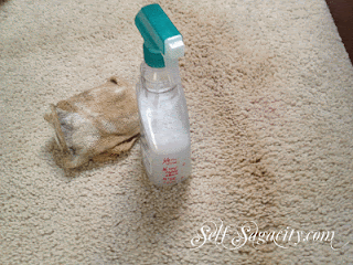 homemade stain cleaners