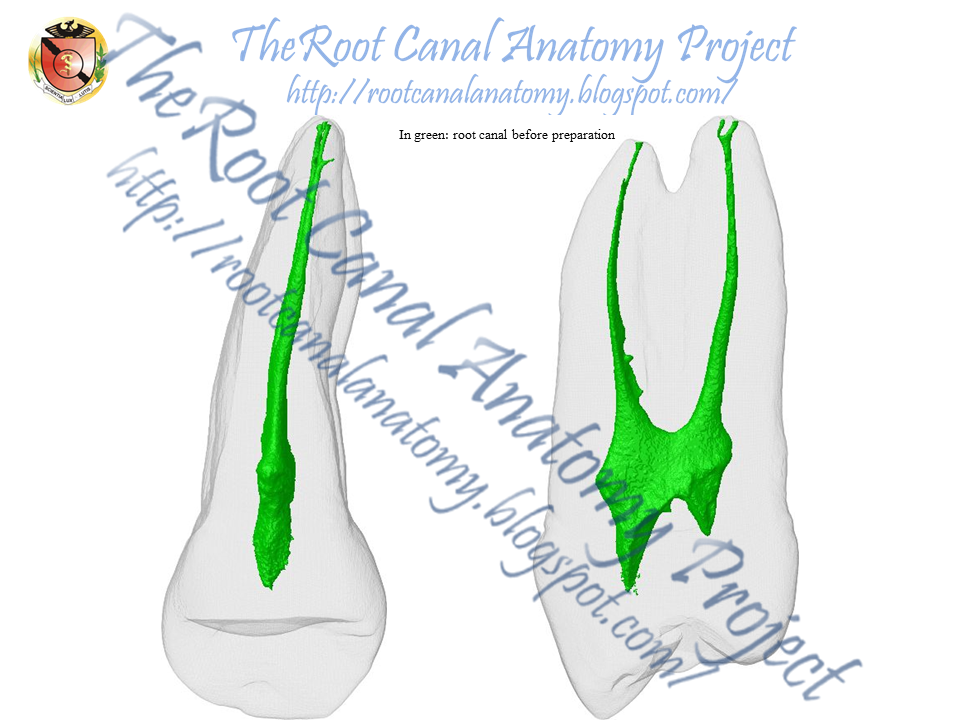 Endodontic journals image