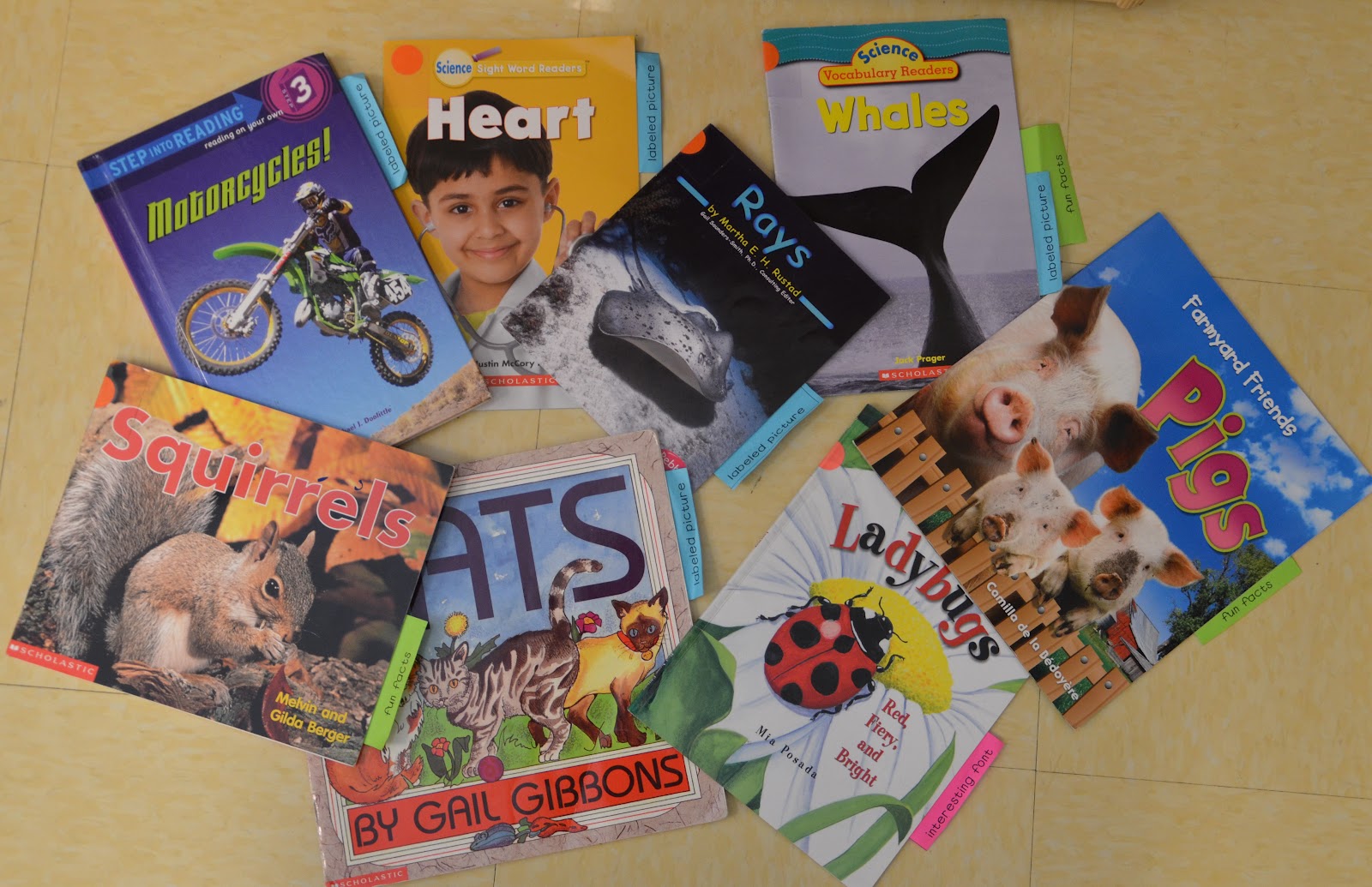 A Place Called Kindergarten: April 2012