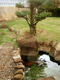 Jardim Japonês: by Franci