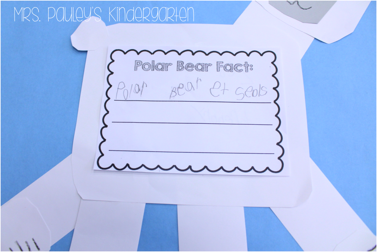 Different types of bears picture