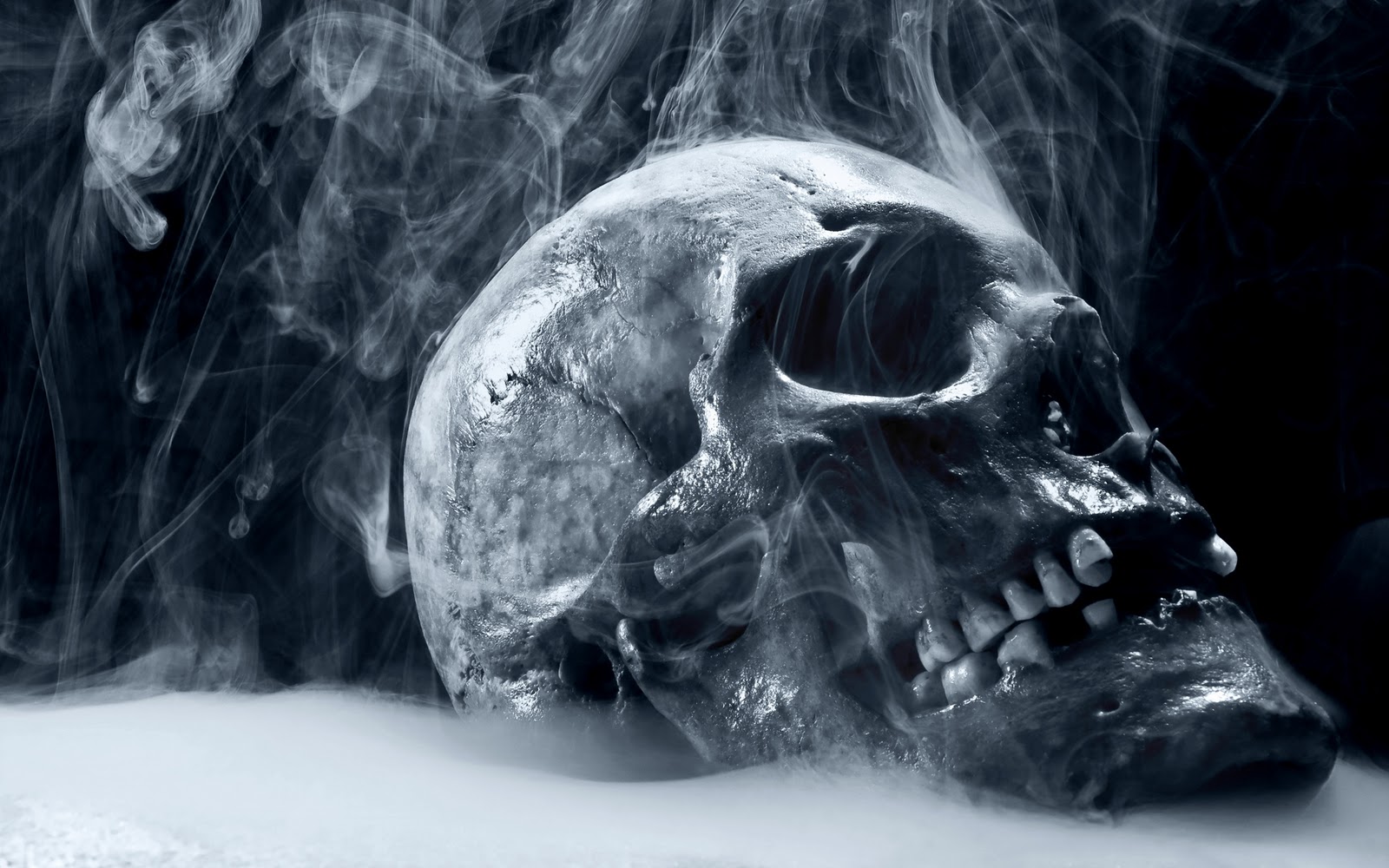 http://2.bp.blogspot.com/-wNsk8Svrers/Ty_LL7n07hI/AAAAAAAABwo/uzLdKO3jKvo/s1600/wallpapers_horror-7.jpg