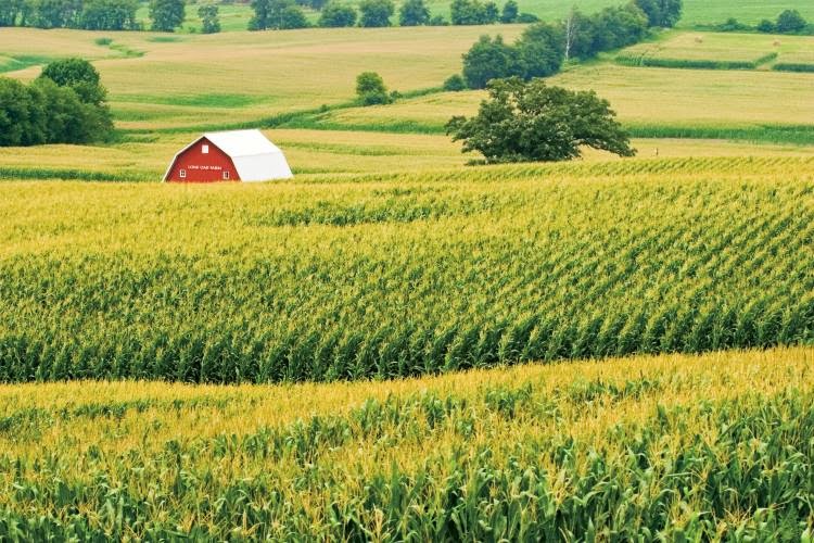 Awakenings Illinois Nature Steals the Scene