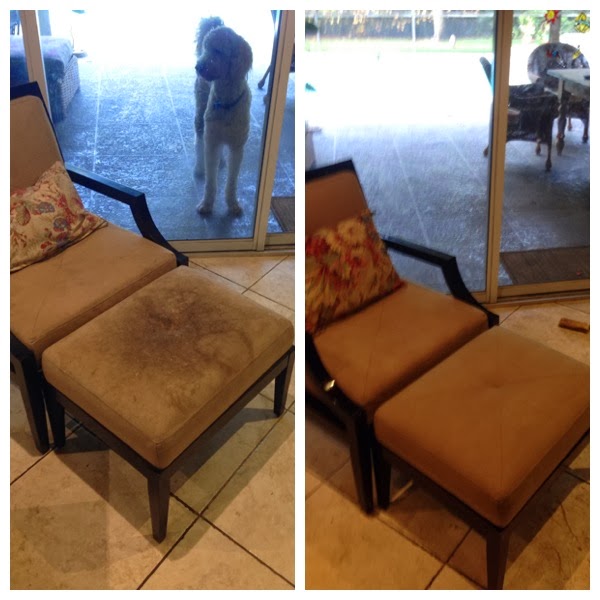 we offer urine stain stain removal from your couch or mattress. our technician are certified in upholstery cleaning and leather cleaning. OV89FSA1
