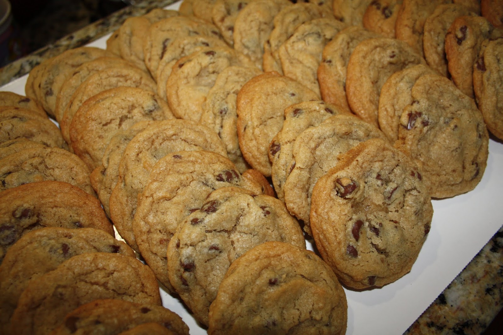 Sweet Dreams Bakery Cookies, lots of cookies!